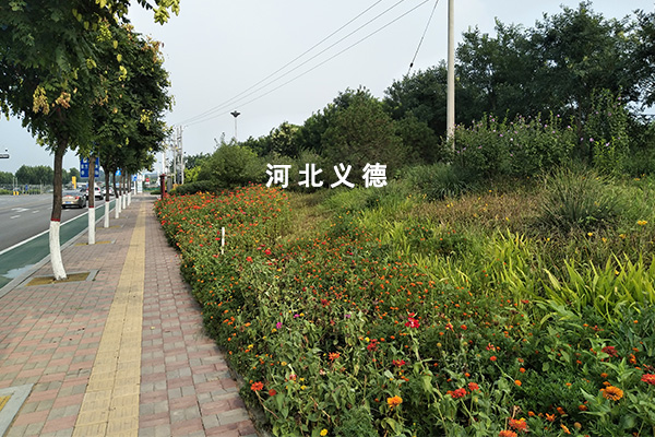 太平河西延綠化施工二標(biāo)