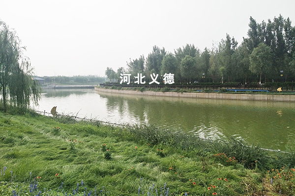 太平河西延綠化施工二期