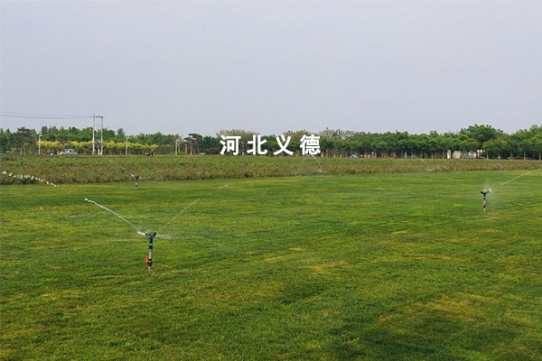 藥用植物綠化及花海項(xiàng)目設(shè)計(jì)施工